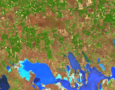 Регіон Асканії-Нова на супутниковому знімку Landsat 8 Регіон Асканії-Нова на супутниковому знімку Landsat 8