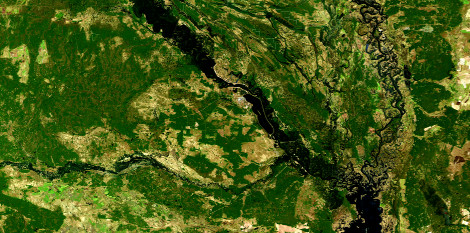 Повінь у зоні відчуження на супутниковому знімку Landsat 8
