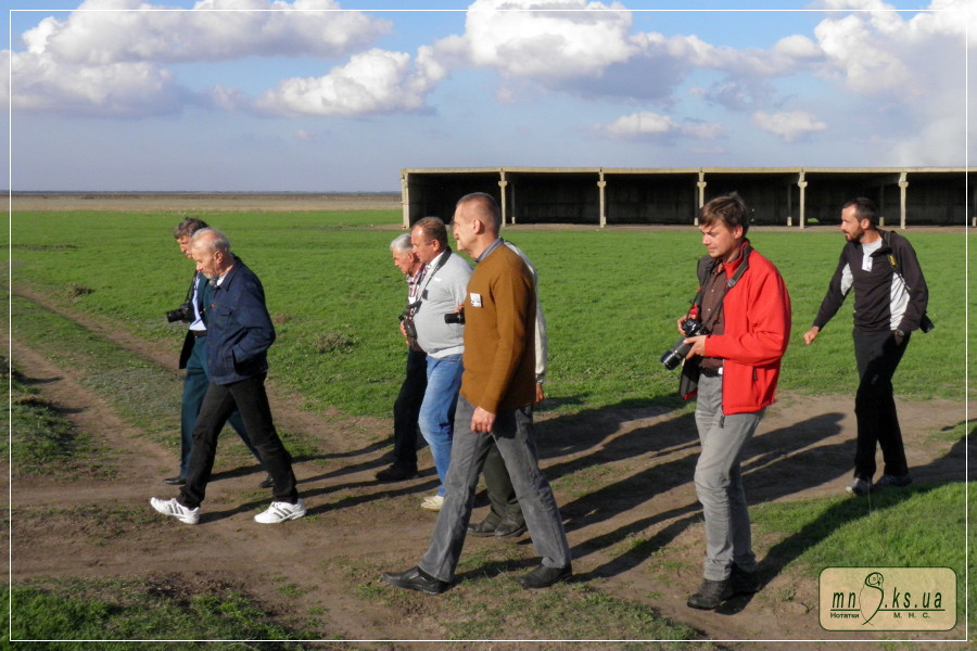 XXXV Нарада Азово-Чорноморської орнітологічної робочої групи (Асканія-Нова, 5-7 жовтня 2016) XXXV Нарада Азово-Чорноморської орнітологічної робочої групи (Асканія-Нова, 5-7 жовтня 2016)