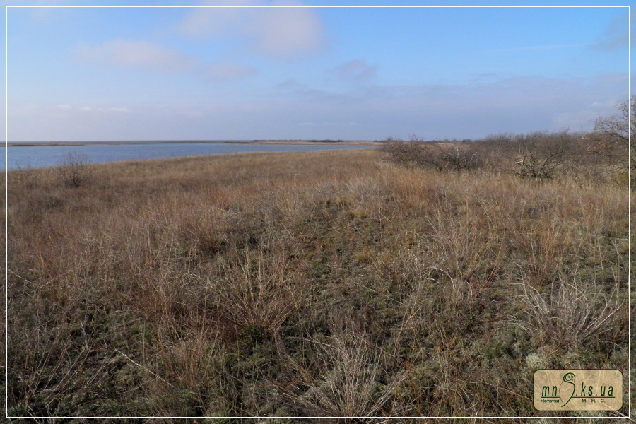 Солоноозерна ділянка пізньої осені Солоноозерна ділянка пізньої осені