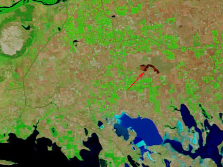 Пожежа в біосферному заповіднику "Асканія Нова" 05.08.2012