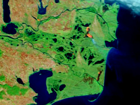 Пожежа в румунській частині дельти Дунаю, 9 листопада 2011 р.