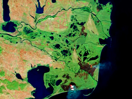 Пожежа в румунській частині дельти Дунаю, 15 листопада 2011 р.