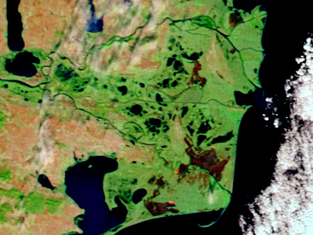 Пожежа в румунській частині дельти Дунаю, 17 листопада 2011 р.
