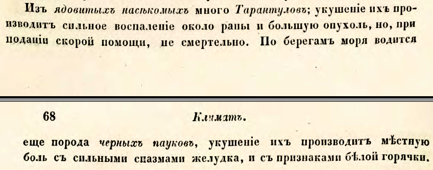 Фрагмент із "Статистического обозрения", де описаний каракурт Фрагмент із "Статистического обозрения", де описаний каракурт